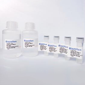 3D細(xì)胞、類器官培養(yǎng)試劑